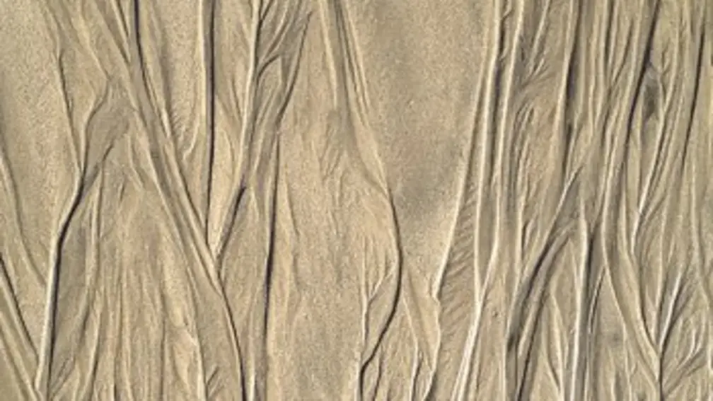 Registration Background