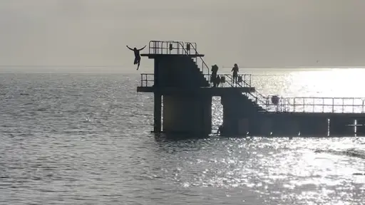 Diving board