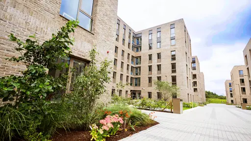 Dunlin Village