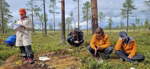 Workshop Diaries: Three seasons in Sápmi