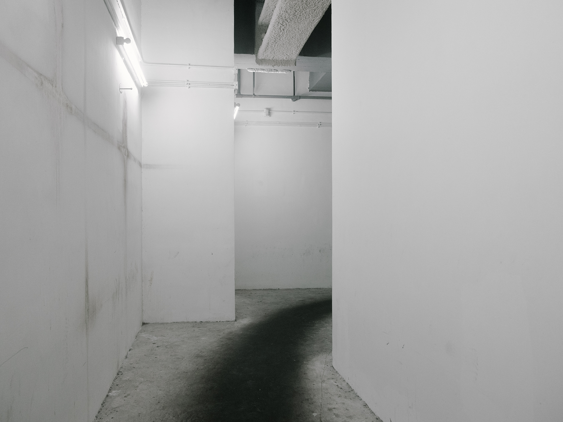 Trace_JosephLEUNG.png