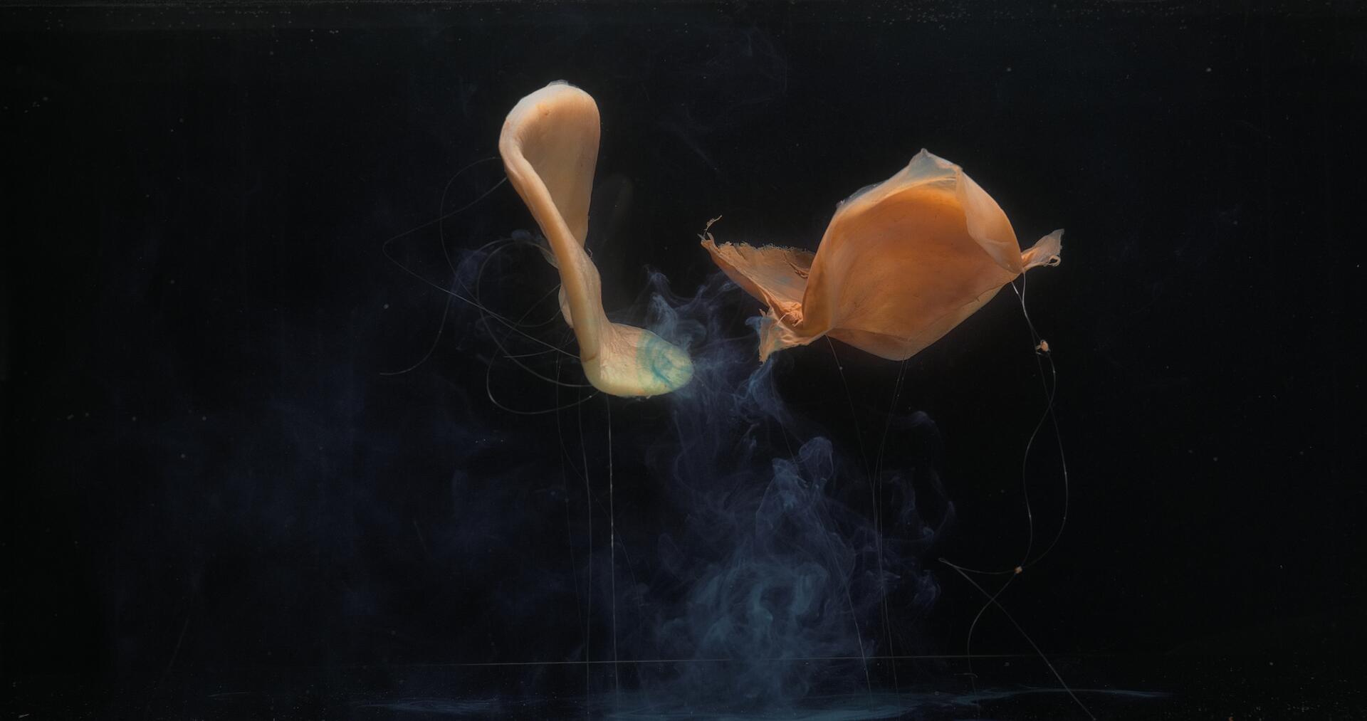 SCOBY_Mariella_Greil_Videostill_Victor Jaschke.jpg